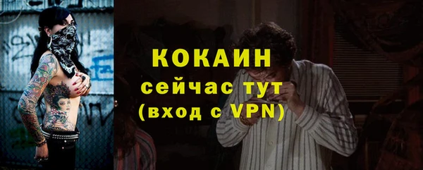 прущие грибы Горняк