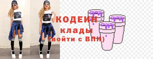 прущие грибы Горняк