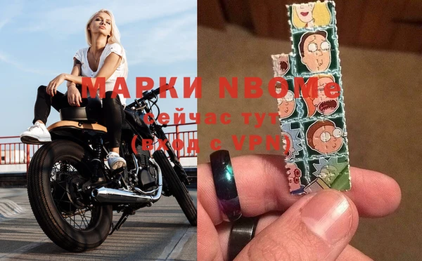 прущие грибы Горняк
