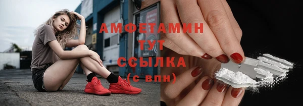 прущие грибы Горняк
