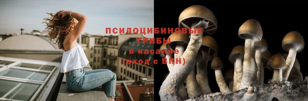 MDMA Горно-Алтайск