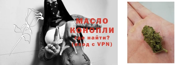 прущие грибы Горняк